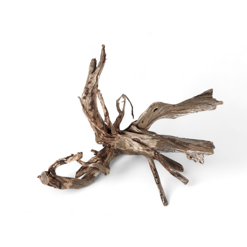 Wholesale Wooden Driftwood for Aquarium or Terrarium Decoration