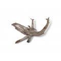 Wholesale Wooden Driftwood for Aquarium or Terrarium Decoration