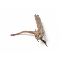 Wholesale Wooden Driftwood for Aquarium or Terrarium Decoration