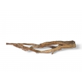 Wholesale Wooden Driftwood for Aquarium or Terrarium Decoration