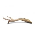 Wholesale Wooden Driftwood for Aquarium or Terrarium Decoration